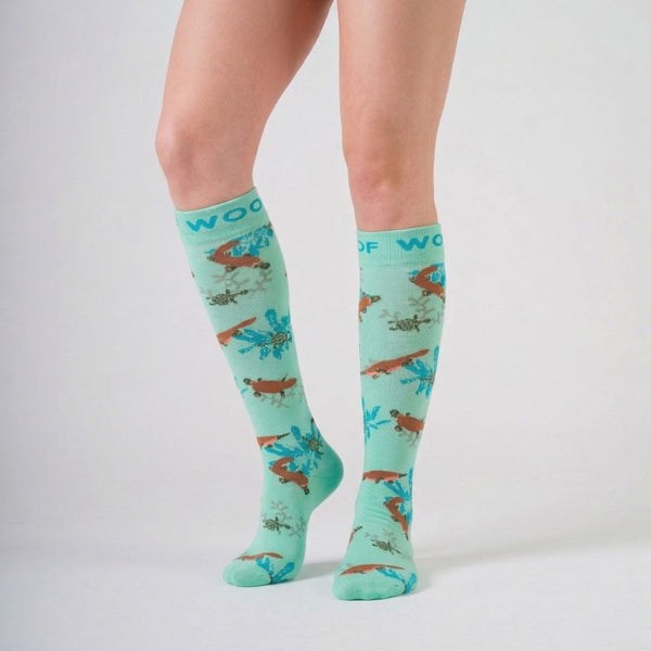 //in.drwoofapparel.com/cdn/shopifycloud/storefront/assets/no-image-2048-a2addb12_grande.gif